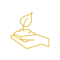 06-Entwicklung-Piktogramme-Handlungsprinzip